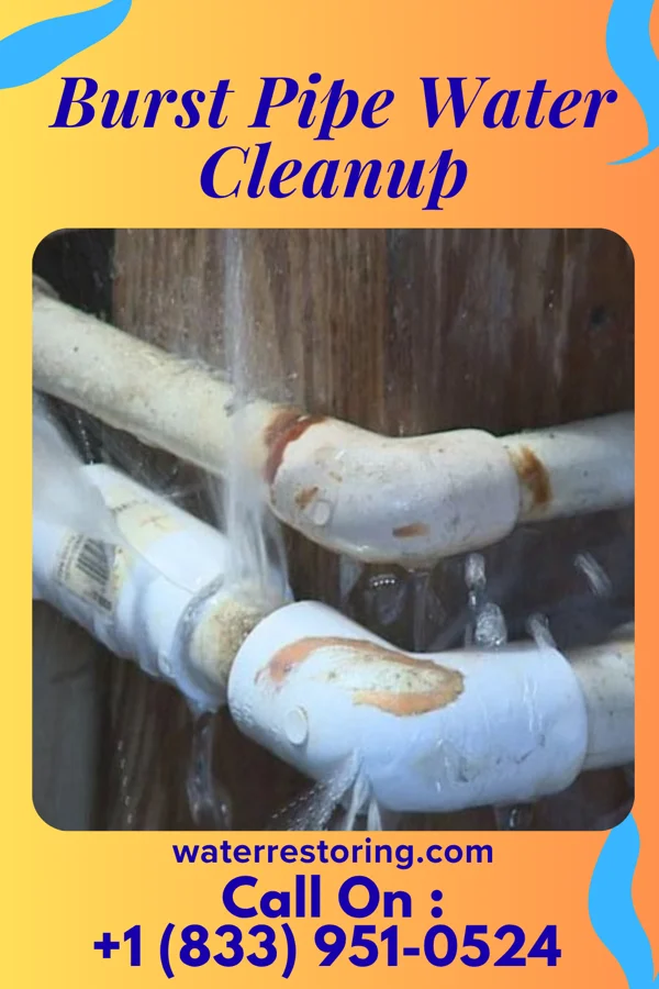Burst Pipe Water Cleanup in Brighton, MI
