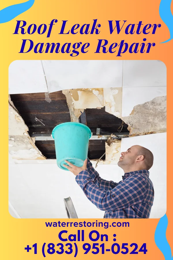 Roof Leak Water Damage Repair in Brighton, MI