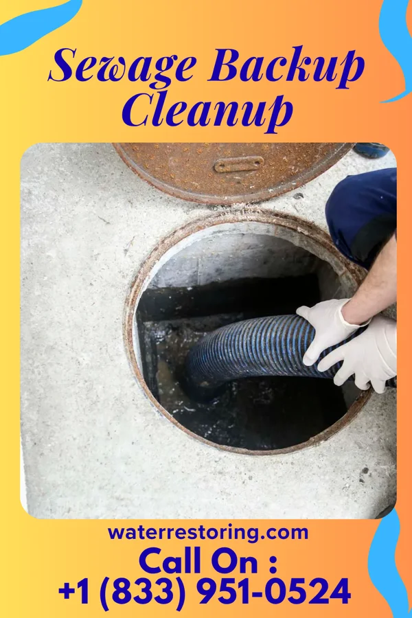 Sewage Backup Cleanup in Brighton, MI