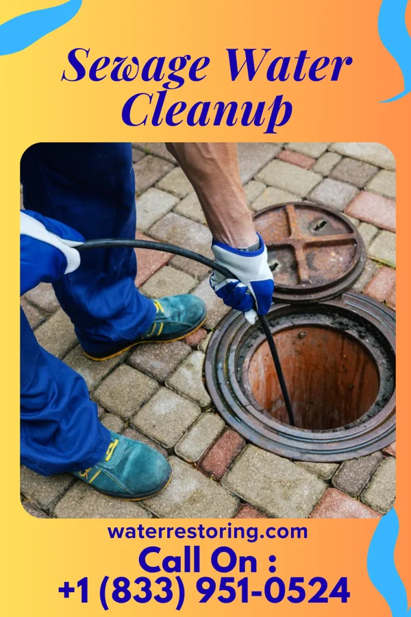 Sewage Water Cleanup in Brighton, MI